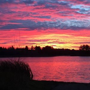 Meet your Posher, Marsha